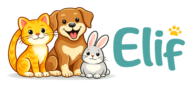Elif logo